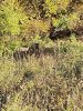 20181018_084536.jpeg