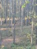 IMG_20181018_173147.jpg
