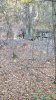 20181018_083322.jpeg
