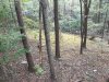 4E069D2D-FDC9-4018-AC8E-30068F266188.jpeg