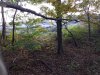 IMG_20181019_074044636.jpeg