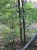 IMG_2386.JPG