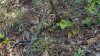 20181019_114218.jpeg