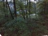 IMG_20181020_074601187.jpeg