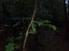 IMG_20181020_074612725.jpeg