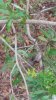 20181020_075629.jpeg