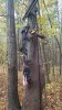 20181020_115259.jpg