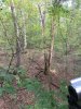 IMG_1916.JPG