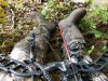 20181020_155432.jpg