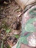 20181020_180234.jpg