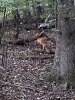 IMG_20181020_182024695_BURST000_COVER_TOP.jpeg