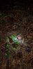 Resized_20181020_192402_9781.jpeg