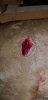 Resized_20181020_201008_4517.jpeg