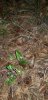 Resized_20181020_192405_5193.jpeg
