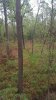 20181020_162009.jpeg