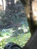 88EDB673-43ED-4123-BEF2-96697A76B3C3.jpeg