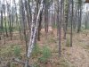 20181021_160146_Burst01.jpeg