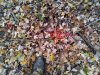 20181021_180055.jpeg