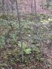 56190156867__16900939-25AF-4BBD-B349-AA4D88EAA83C.JPG