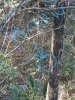 20181022_074345.jpg