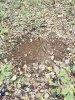 20181022_093342.jpg