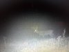 IMG_20181014_063156822.jpeg