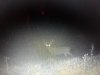 IMG_20181014_063144835.jpeg