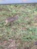 IMG_20181022_171047.jpg
