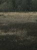 614F3C07-BCE7-49AB-940C-B11B24B1BEF0.jpeg