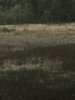 54D3C195-AC5B-48BE-AF62-033371E9BC3C.jpeg