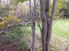1540328517914.jpeg