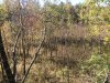 IMG_5561.JPG