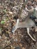 20181029_164924.jpeg
