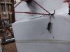 20181101_113240.jpeg