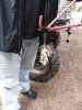 20181101_113223.jpeg