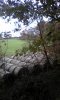 IMG_20181102_105714.jpg