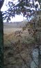 IMG_20181102_105723.jpg