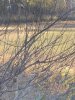 IMG_0633.jpeg