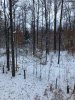 IMG_2582.JPG