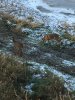 DA282485-9503-4CDF-A0E8-91A12847FD94.jpeg
