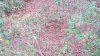 20181111_163005.jpeg