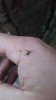 20181112_063806.jpeg