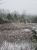 20181112_084427.jpeg