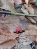 20181112_145223.jpg