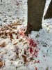 IMG_20181112_082821763_HDR.jpeg