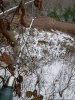 20181112_154801.jpeg