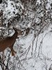 20181112_155528.jpeg