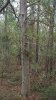 20181114_144928.jpeg