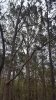 20181114_144934.jpeg