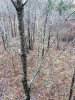 IMG_5585.JPG